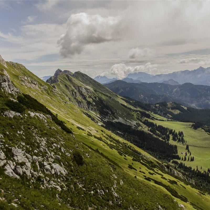 通宵加班后的碎碎念