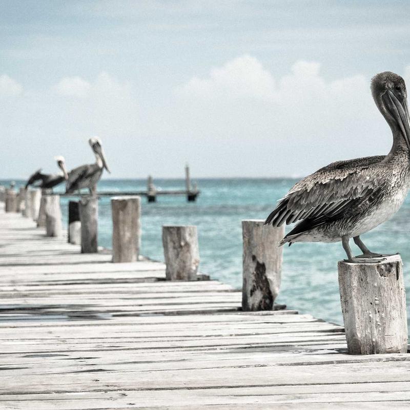 记一次 nginx 配置错误排查