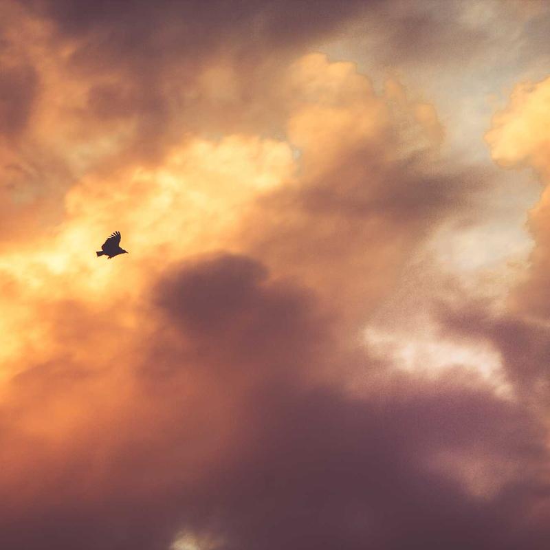 [译] 终于，JavaScript 有了安全的数组方法